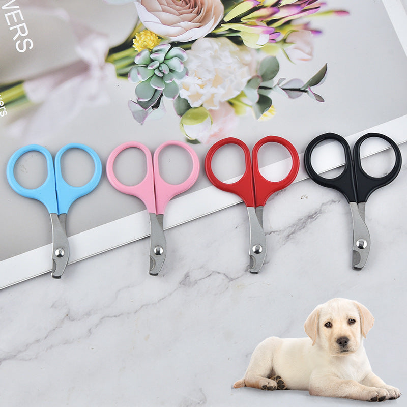 Stainless Steel Pet Nail Scissors Cat Dog Nail Scissors Beauty Cleaning Products Cat Dog Nail Scissors - Go Bagheera