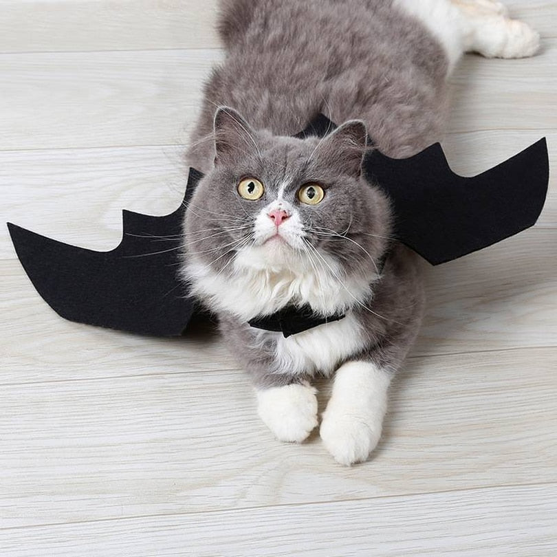 Cute Halloween Cat Costume Small Pet Cat Bat Wings Halloween Cat Wings Hallowen Cat Accessories Halloween Decorations