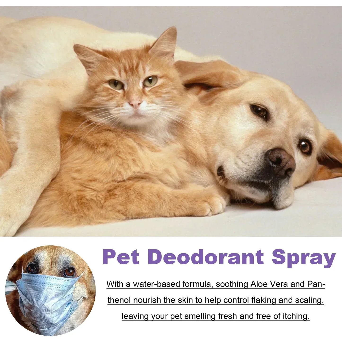 Pet Deodorization Spray 50ml Dog Perfume Lavender Oil Deodorization Spray Anti Itching Fragrant Pet Cat and Dog Beauty Care