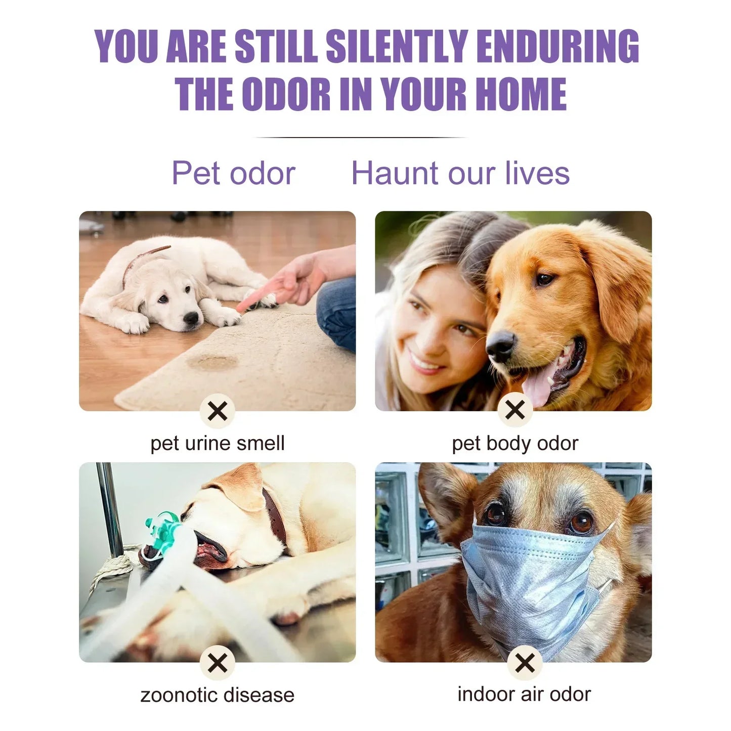 Pet Deodorization Spray 50ml Dog Perfume Lavender Oil Deodorization Spray Anti Itching Fragrant Pet Cat and Dog Beauty Care