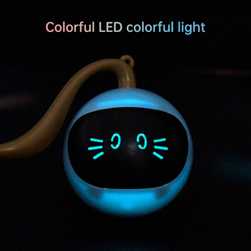 Kitten Electronic Ball - Go Bagheera
