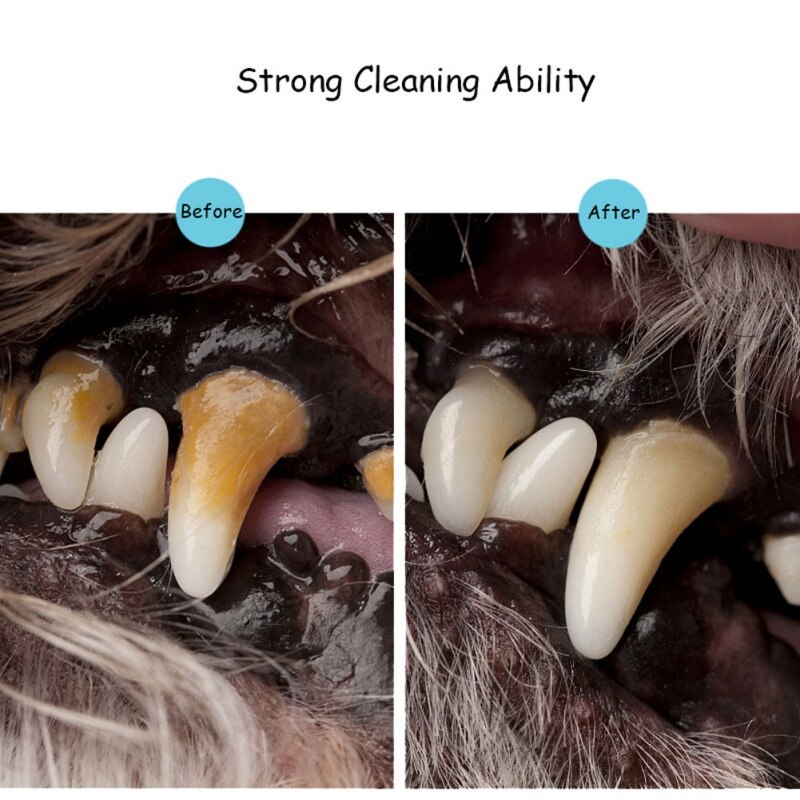 Pets Teeth Cleaning Tool - Go Bagheera