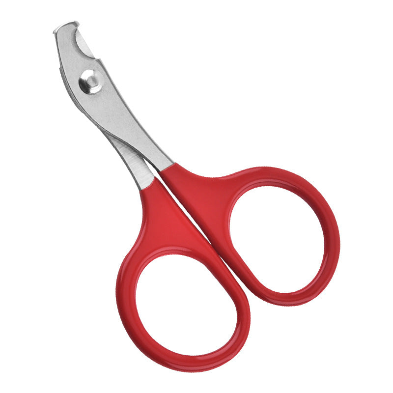 Stainless Steel Pet Nail Scissors Cat Dog Nail Scissors Beauty Cleaning Products Cat Dog Nail Scissors - Go Bagheera