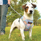 Dog Breast Strap Cat Leash