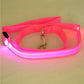 Glowing Pet Leash Glowing Dog LED