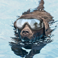 Pet glasses dog supplies goggles waterproof windproof sunscreen UV dog glasses