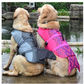 Dog swimwear pet rescue kits transform pet life jackets