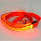 Glowing Pet Leash Glowing Dog LED