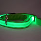 Glowing Pet Leash Glowing Dog LED