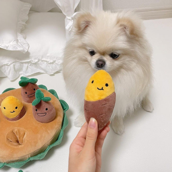 Plucking Groundnut Sweet Potato Set Of Pet Toys Dog Pet Toys