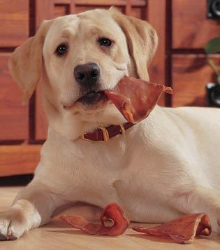 Pig Ears for Dogs