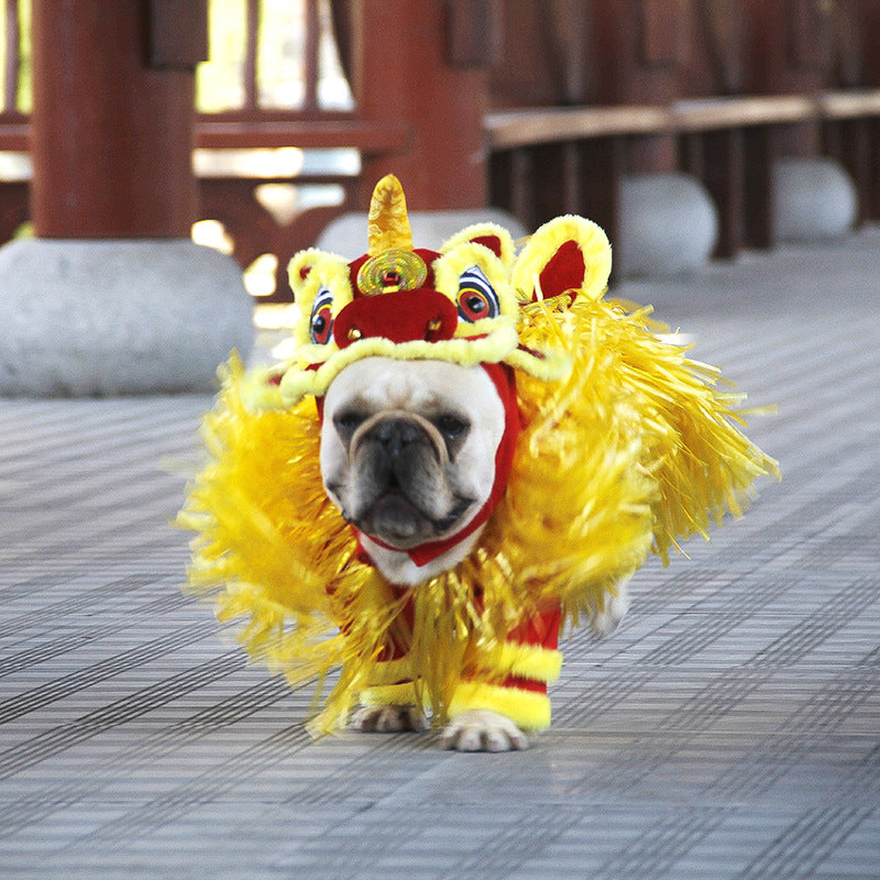 Pet Costume Jizai Pet Supplies Little Lion Clothes