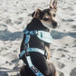 Pupshake Blue Adjustable Harness