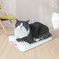 Cat Scratching Board Pet Cat Toy Function Multi-Corrugated Paper To Relieve Boredom Pet Supplies Cat Claw Board Cat Treadmill