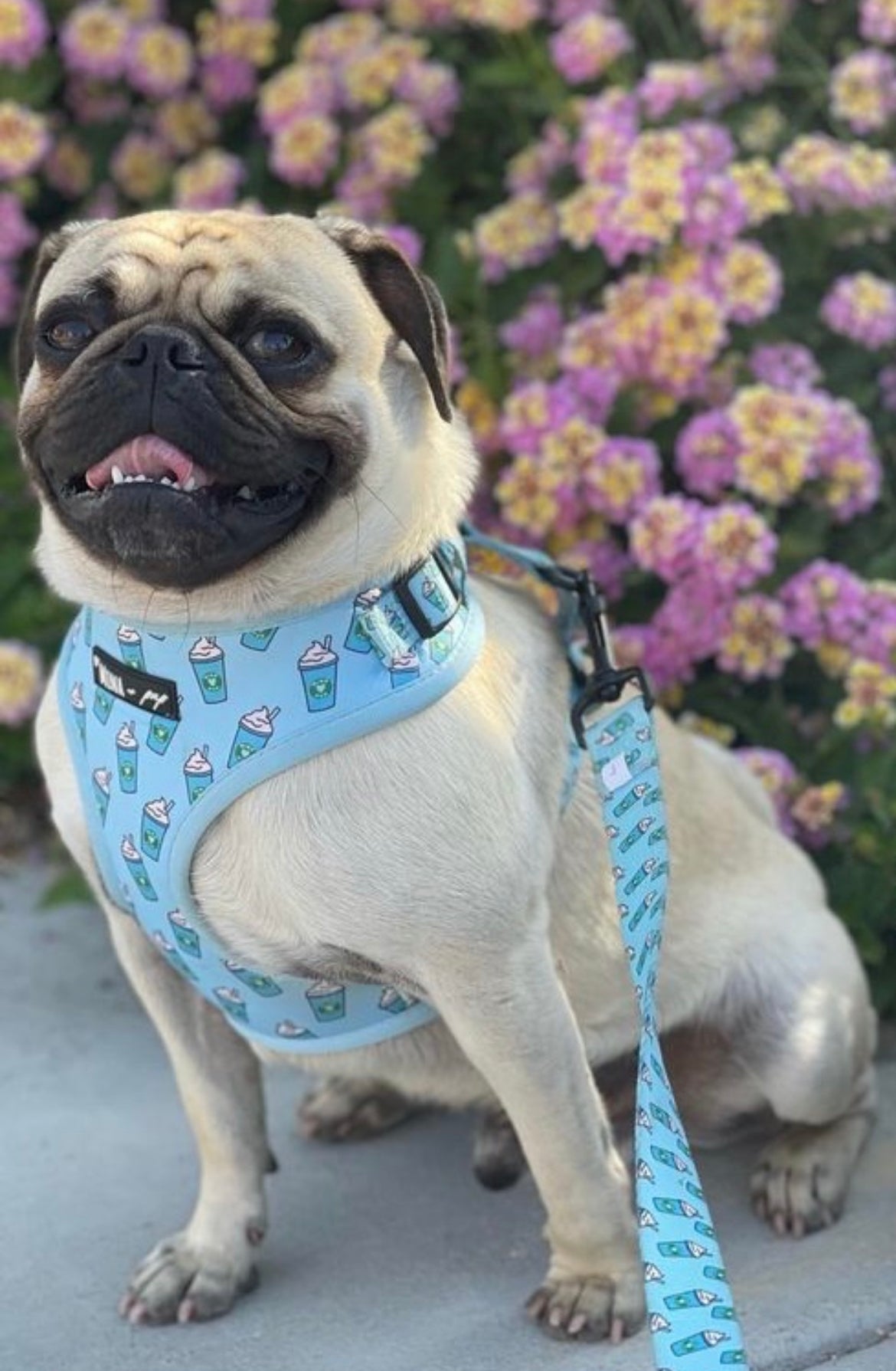 Pupshake Blue Adjustable Harness