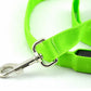 Glowing Pet Leash Glowing Dog LED