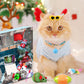 Cat Toys Advent Calendar 2023 Christmas for Kitten, 24Pcs Interactive Kitten Toys Cat Collars Assortments Cat Feather Teaser Wan