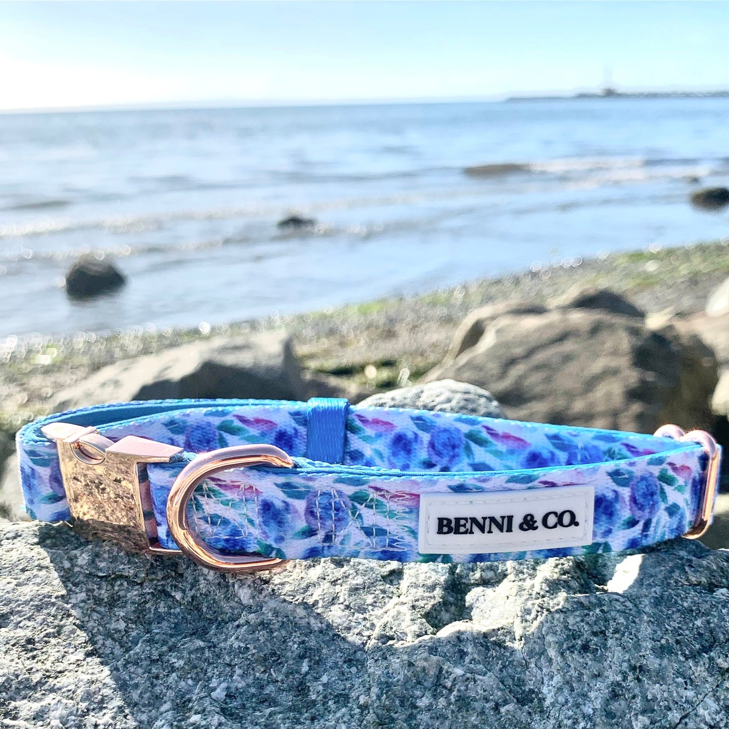 Beach Escape Dog Collar