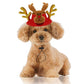 New Pet Hat Dog Christmas Halloween Headwear Cat Funny Headwear Medium Big Dog