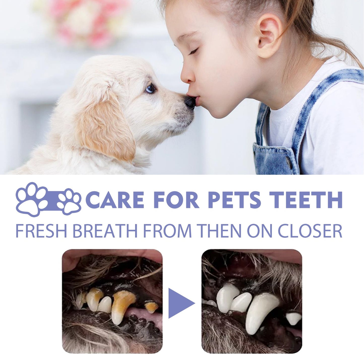 Yegbong Dog and Cat Teeth cleaning spray Pet Oral Cleaning Breath Fresh Deodorant Deodorant Deodorant