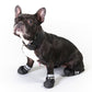 Pawz Disposable Rubber Dog Boots