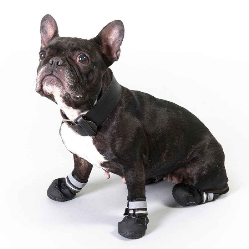 Pawz Disposable Rubber Dog Boots