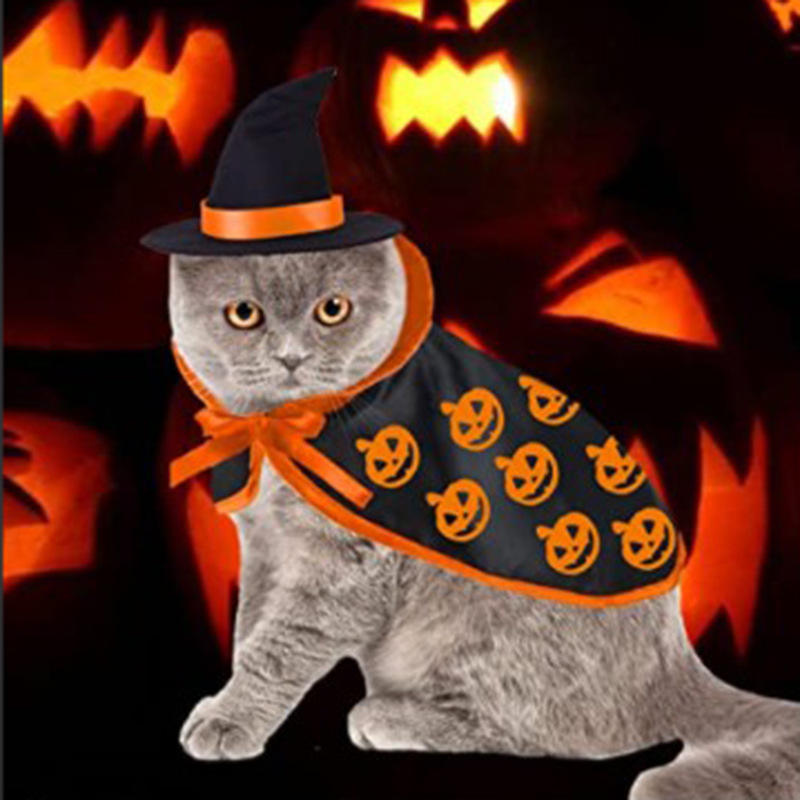 Halloween Pet Cloak Cat Dog Christmas Dressing Transfiguration Pet Superman Cloak