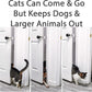 Pet Cat Door Holder Latch Cat Elastic Door Lock Preventing Dogs From Entering - Go Bagheera