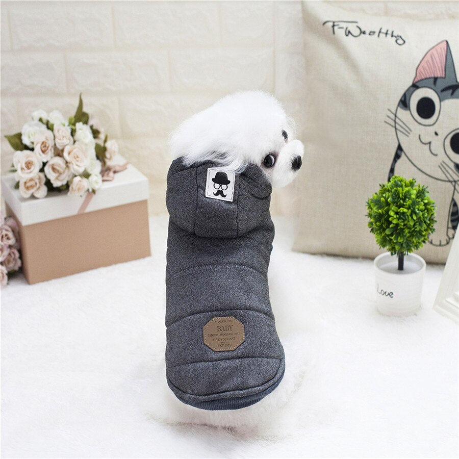 High Quality Pets Dog Clothes Cotton Winter Thicken Jacket Coat Costumes Hoodies Clothes for Small Puppy Dogs Cat Clothing New - Go Bagheera