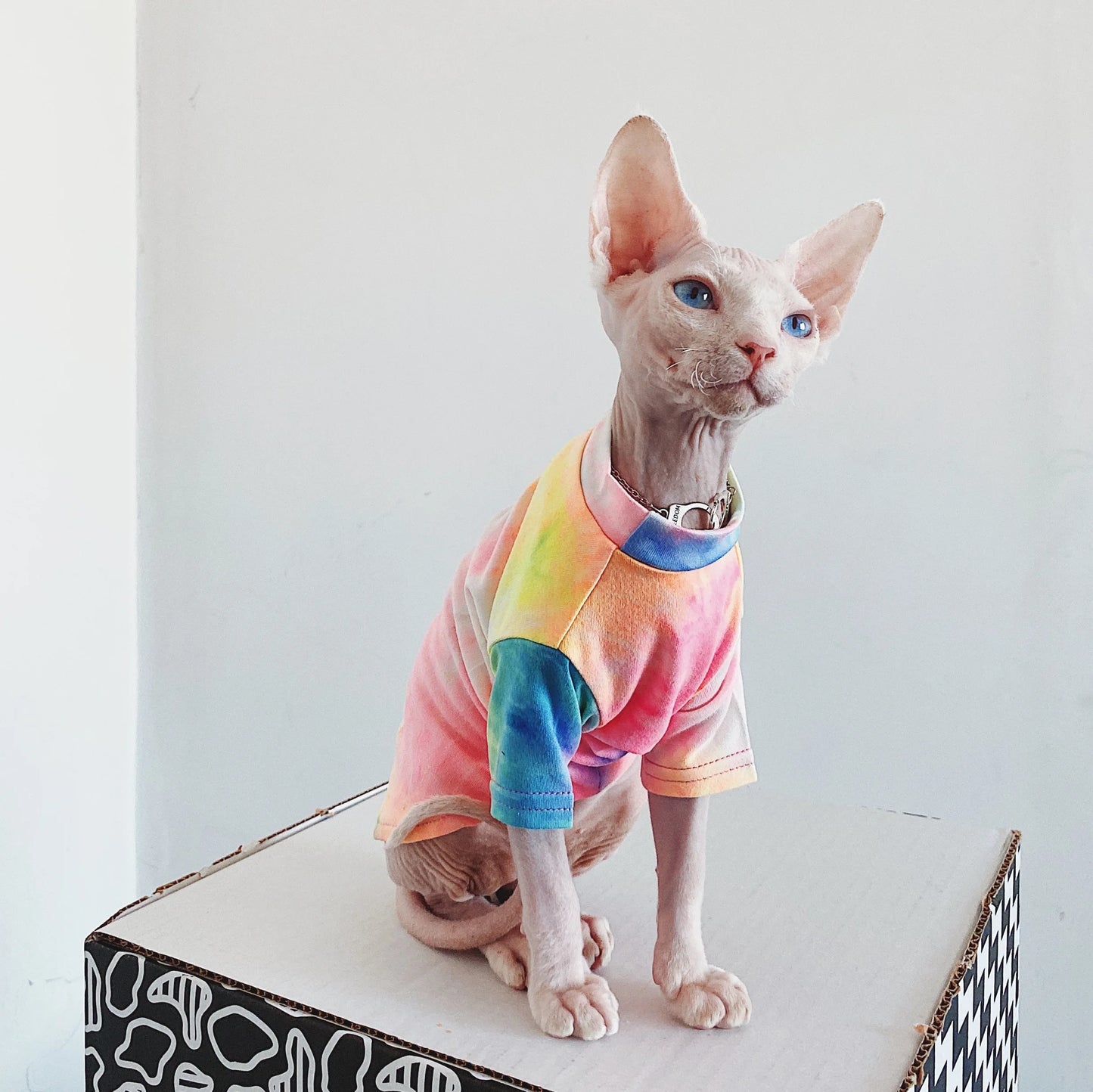 Hairless Cat Clothes Sphinx Deven Rainbow Breathable T-shirt Pet Clothes For Small Dogs Shirt Clothing for Cats