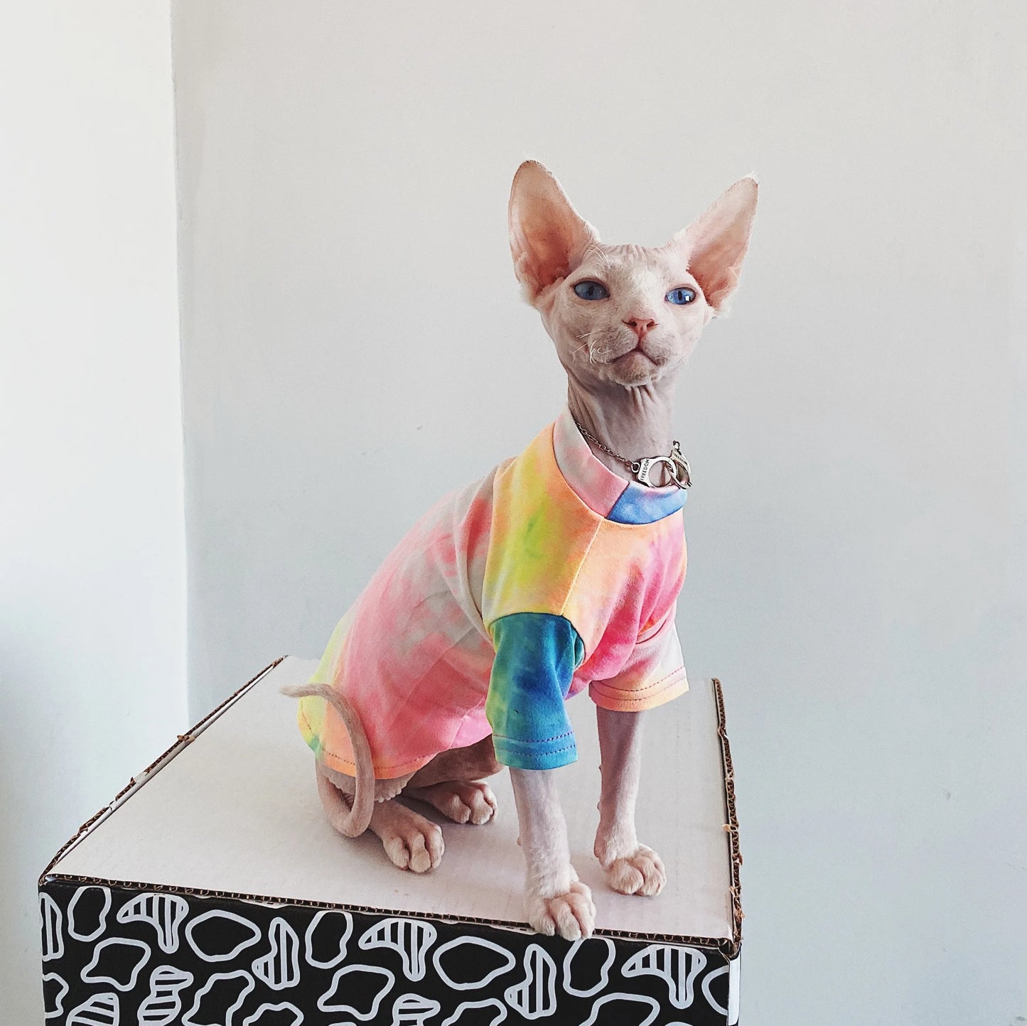 Hairless Cat Clothes Sphinx Deven Rainbow Breathable T-shirt Pet Clothes For Small Dogs Shirt Clothing for Cats