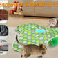 Smart Cat Toys Interactive Hide and Seek Cat Toy with Mouse Squeaky Motion Activated Moving Concealed Feathers Kitten Teaser Toy