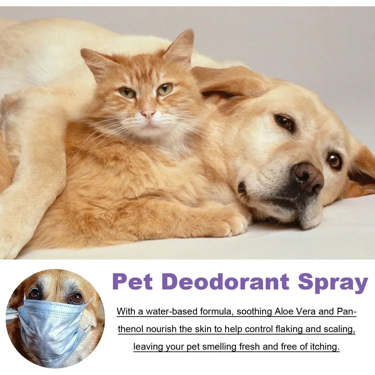 Pet Deodorization Spray 50ml Dog Perfume Lavender Oil Deodorization Spray Anti Itching Fragrant Pet  Cat and Dog Beauty Care