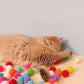 20PCS Cat Toy Interactive High Fun Toy Gun Plush Ball Firing Gun Silent Polyester High Bounce Ball Fun Cat Stick