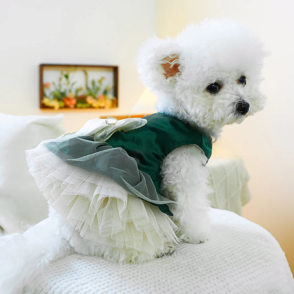 1PC Pet Clothing Cat Spring/Summer Green Tank Top Bow Princess Dress Traction Buckle Suitable for Small and Medium sized Dogs