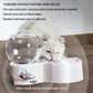 ZYFeeder Pet Automatic Gravity Water Feeder Transparent Visual Gravity Water For Cats or Dogs Induction Water Dispenser Smart