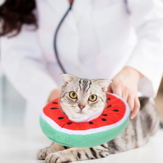 Cat Small Dog Recovery Collar Adjustable Pet Collar Wound Healing Protective Cone Cute Fruit Neck Cone After Surgery