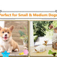 10/20/50 Pack Dog Squeaky Toys Plush Games Cute Plush Toys for Small Medium Dog Fleece Toys Wholesale