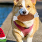 10/20/50 Pack Dog Squeaky Toys Plush Games Cute Plush Toys for Small Medium Dog Fleece Toys Wholesale