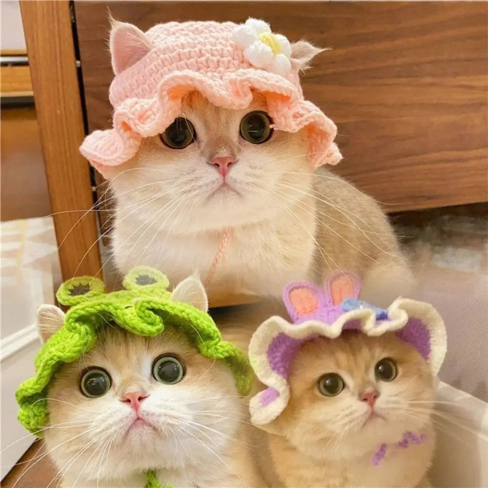 Pet Hat Elastic Cute Refined Cat Hat Puppy Kittens Knitted Hat Party Photo Shoot Props Decoration Animal Accessories