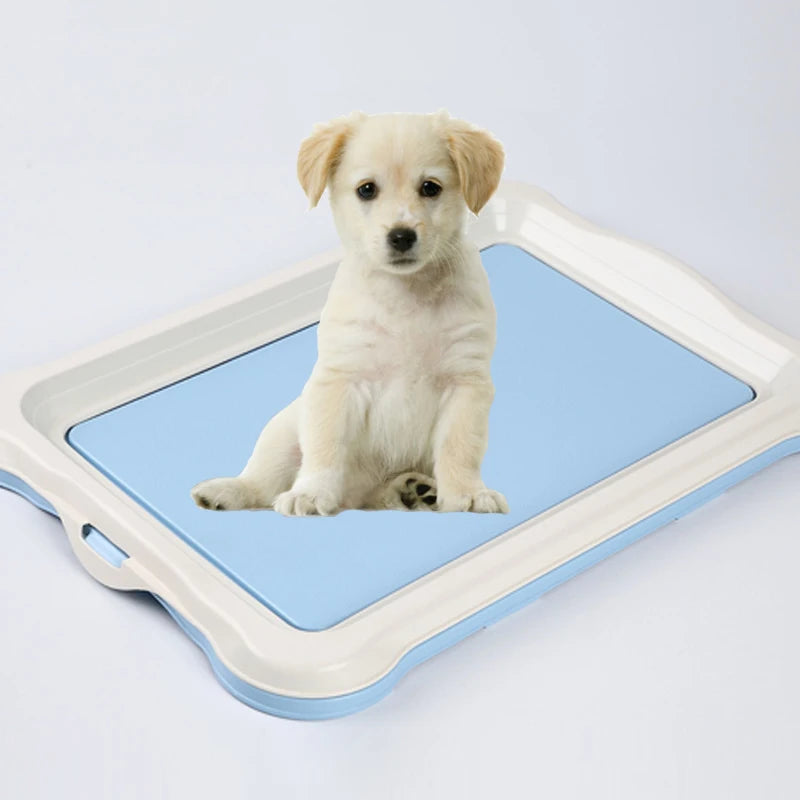 Portable Removable Dog Training Toilet Tray Indoor Puppy Cat Litter Box Pet Protect Floor Pad Pottys Dog Stuff Supplies  Puppy