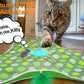 Smart Cat Toys Interactive Hide and Seek Cat Toy with Mouse Squeaky Motion Activated Moving Concealed Feathers Kitten Teaser Toy