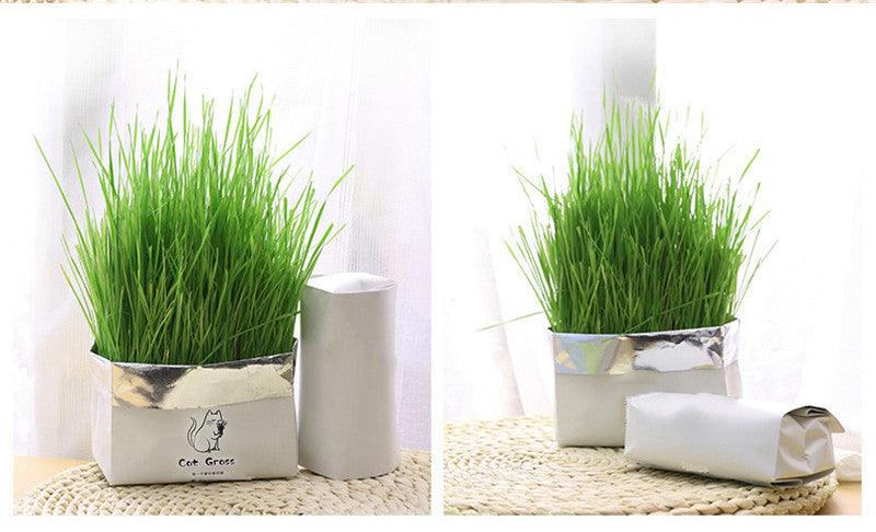 Soilless Organic Cat Grass Clean Oral Cat Supplies