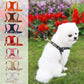 Leashing Rope For Dogs Cats Chest Straps Pet Supplies