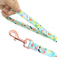 Dog Leash Small Dog Teddy Corgi Supplies Collar