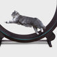 Cat Treadmill Running Wheel Silent Climbing Frame