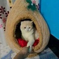 Coconut Cat house