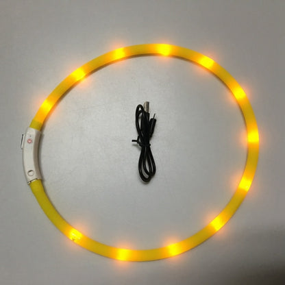 Luminous Pet Collar - Go Bagheera