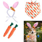 New Easter Pet Party Decor Kit - Go Bagheera