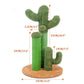 Cat Climbing Toy Scratching Post - Go Bagheera